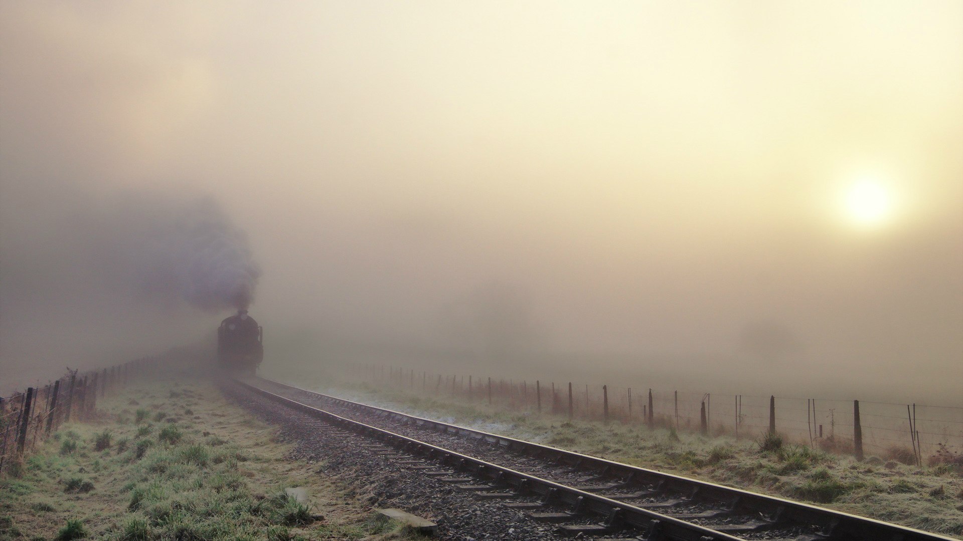 NBA总决赛MVP预测:谁将加冕?竞彩附加玩法,nba总决赛获胜规则